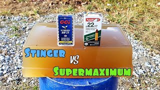Cci Stinger Vs Aguila Super Maximum .22Lr Ballistic Gel Test