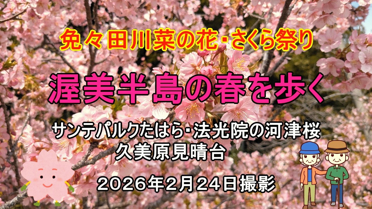 渥美半島の春を感じてきました　　ナオユミのハイキングに行こう