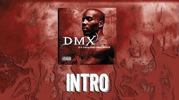 DMX - Intro Reaction