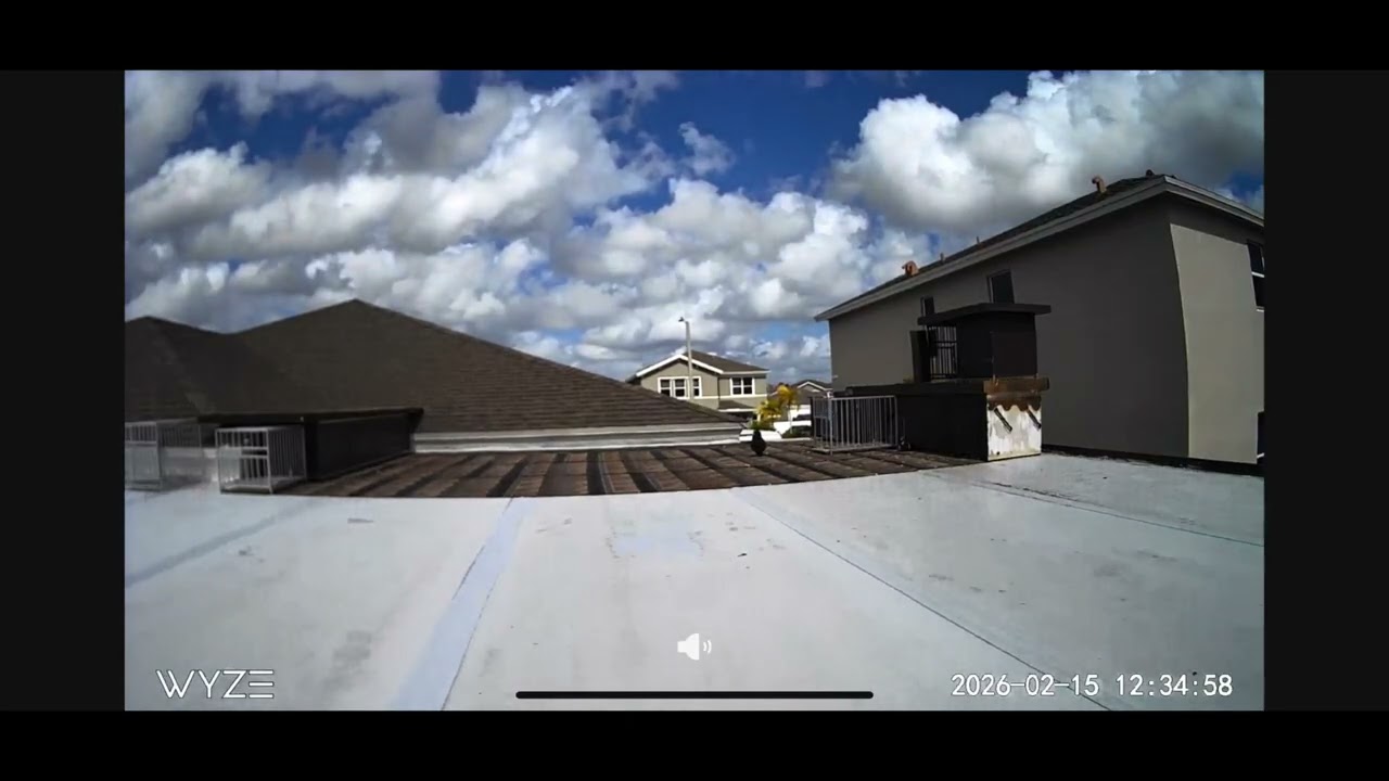 Captura #6 para El Doble Anillo ( azul aliblanca anillada por Daniel )