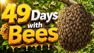 🌼 One Tiny Bee Can Change Everything! #bees #beeswarm #honeybee #wildlife #natur