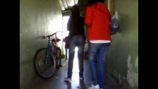 El Pollito Pio, Peter La Anguila Y Es La Que Va -