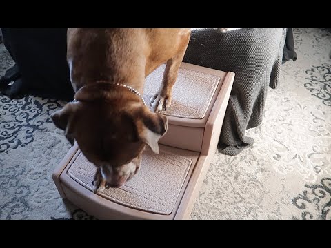 LAZY SUNDAYS | Day 12
