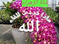 كيف تستعد لاخرتك مع الداعية إلى ربها الحاجة أم محمد دياب