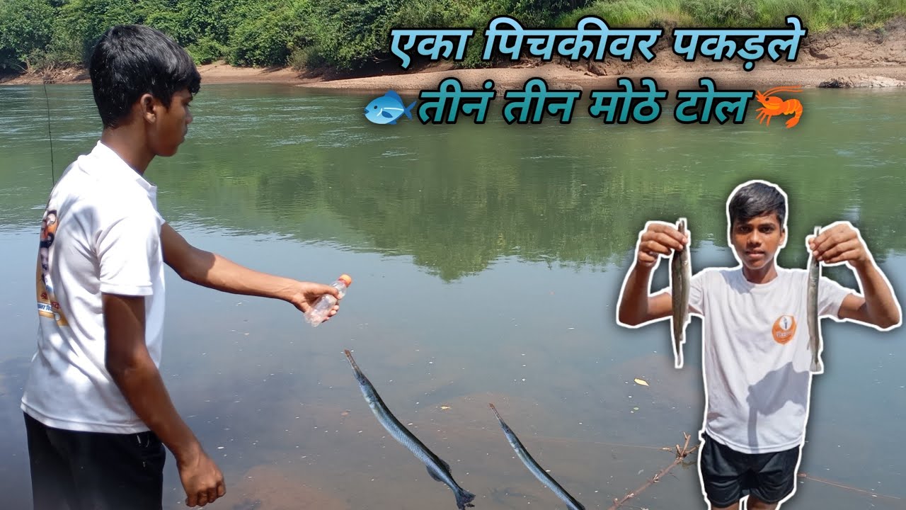 गरीला पिचकी लाऊन नदीवरती पकडला मोठा टोल मासा! एका पिचकीवर पकडले तीनं तीन मासे 🐟