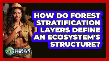 How Do Forest Stratification Layers Define An Ecosystem