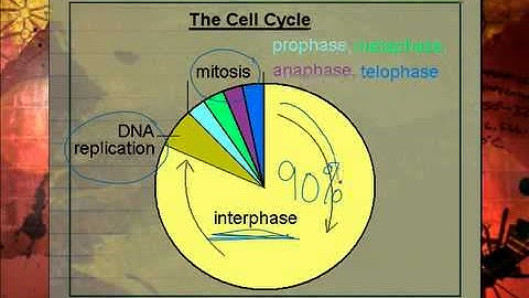 LS Lesson 6 Segment 1 SD Video Sharing copy