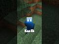 This Mod Changes Mobs Into Women 😲 #shorts