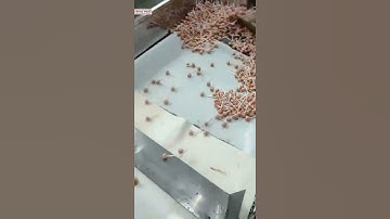 High speed automatic lollipop candy bar making machine line