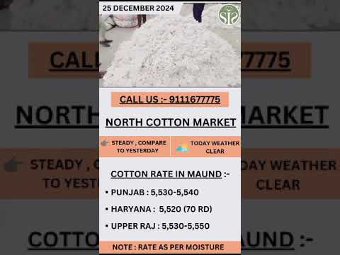 North cotton market rate today || उत्तरी भारत का कपास बाजार #kapas #punjab #rajasthan #haryana