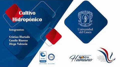 Cultivo hidropónico automatizado parte 2 #UniCauca #PIAI #FIET #IngeDIegoGuz