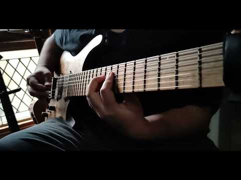 ERRA - House of Glass Guitar Cover
