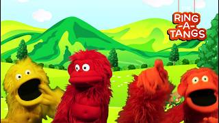 hokey pokey song that s what it s all ring tangs educational
