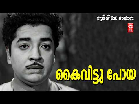 Kaivittupoya | Bhoomiyile Maalakha (1965) | Prem Nazeer | Old Sad Songs malayalam