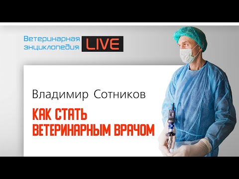 Как стать ветеринарным врачом