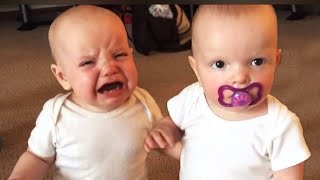 Twin Baby Girls Fight Over Pacifier _ Cutest Babies _ Cute Kids