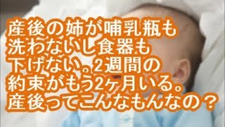 【カチムカ】産後の姉が哺乳瓶も洗わないし食器も下げない。2週間の約束がもう2ヶ月いる。産後ってこんなもんなの？【妊婦の修羅場】