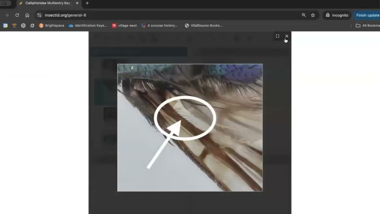 Using a Multi Entry Key