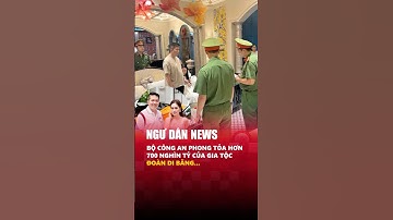 🔥HOT: Đoàn Di Băng bị công an phong tỏa 700 nghìn tỷ đồng #shorts #mailisa #dibang