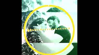 Whatsapp Status Reyyan Miran