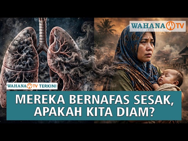 Mereka Bakar Hutannya! Saudara Kita Sesak Napas Sampai Mati |Wahana Terkini
