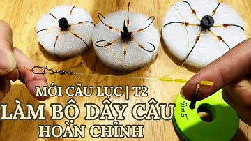 MỘT BỘ DÂY CÂU LỤC HOÀN CHỈNH | MỚI CÂU LỤC T2