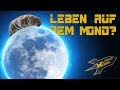 Bärtierchen auf dem Mond! - Weltraum-Wissen von Astro-Comics TV