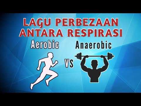 Perbezaan Antara Respirasi Aerobik dan Anaerobik ( Lagu ) | Biologi SPM