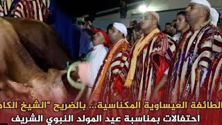 الطائفة العيساوية طقوس واجواء الاحتفال بذكرى المولد النبوي لضريح