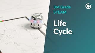 3GR-STEAM: Life Cycles | Full Lesson Video