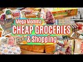 CHEAP Large Family Groceries | Shop with Me Dollar Tree | What's New at Hobby Lobby - Mega Lots 💃