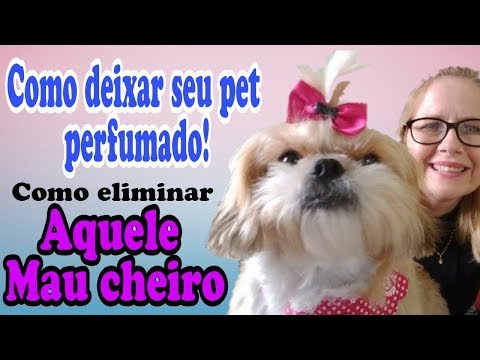 Como eliminar o mau  cheiro dos Cães (Inédito)