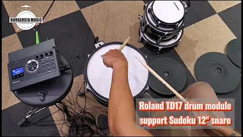 Roland TD17 module support Sudoku 12" electronic snare