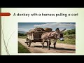 Powerful Simile Explained | Mr M’s Quote from My Children! My Africa! | The donkey with no harness