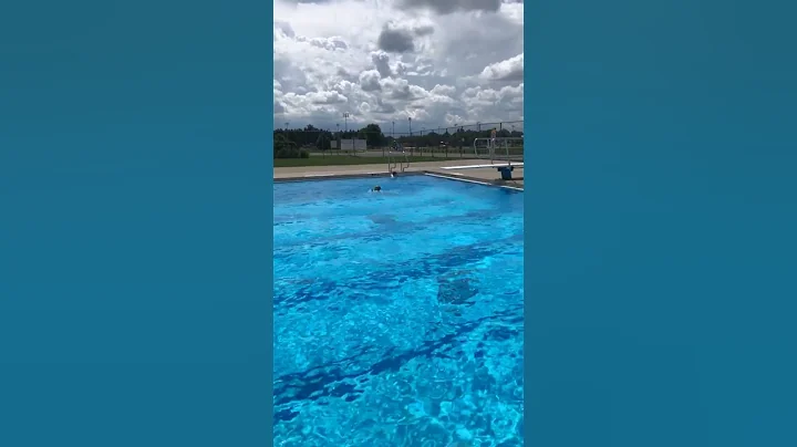 Shane Diving Board Front Flip