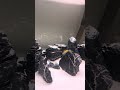 #aquarium #planetaquarium #fishtank #aquascapelowtech