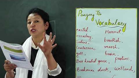 Class 5th English (Pangong Tso)