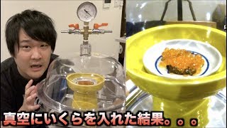 【実験】いくらを真空に入れたらプチプチが。。。