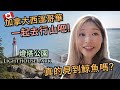 【加拿大旅遊】一起去西溫哥華的燈塔公園行山 | 觀鯨的熱門地方 | A Simple Hike at Lighthouse Park West Vancouver