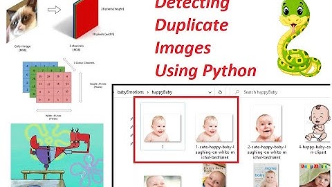 Removing Duplicate Images in Python Part 1 (AI Camp)