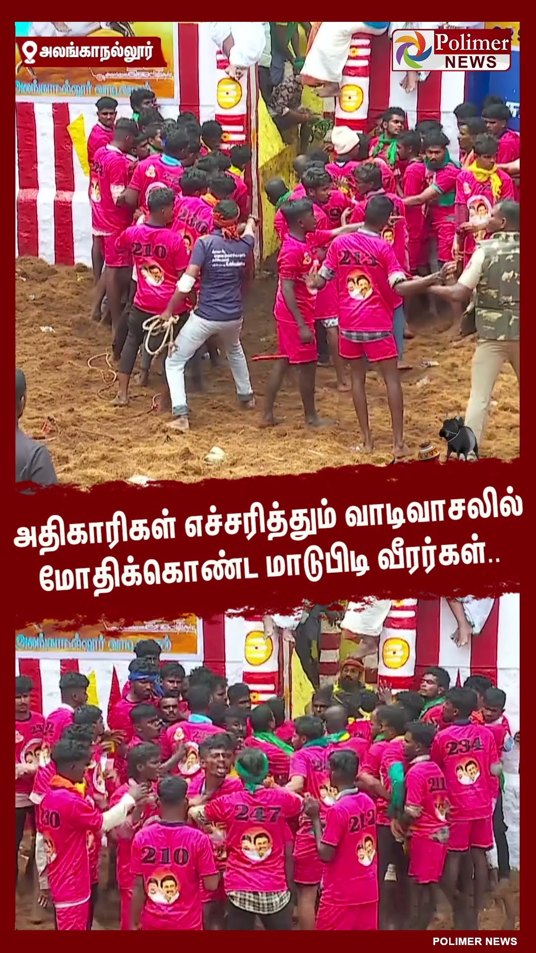 அதிகாரிகள் எச்சரித்தும் வாடிவாசலில் மோதிக்கொண்ட மாடுபிடி வீரர்கள்..#shorts | #alanganallurjallikattu