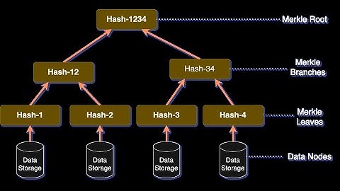 Analysis of the Interplanetary File System (IPS)