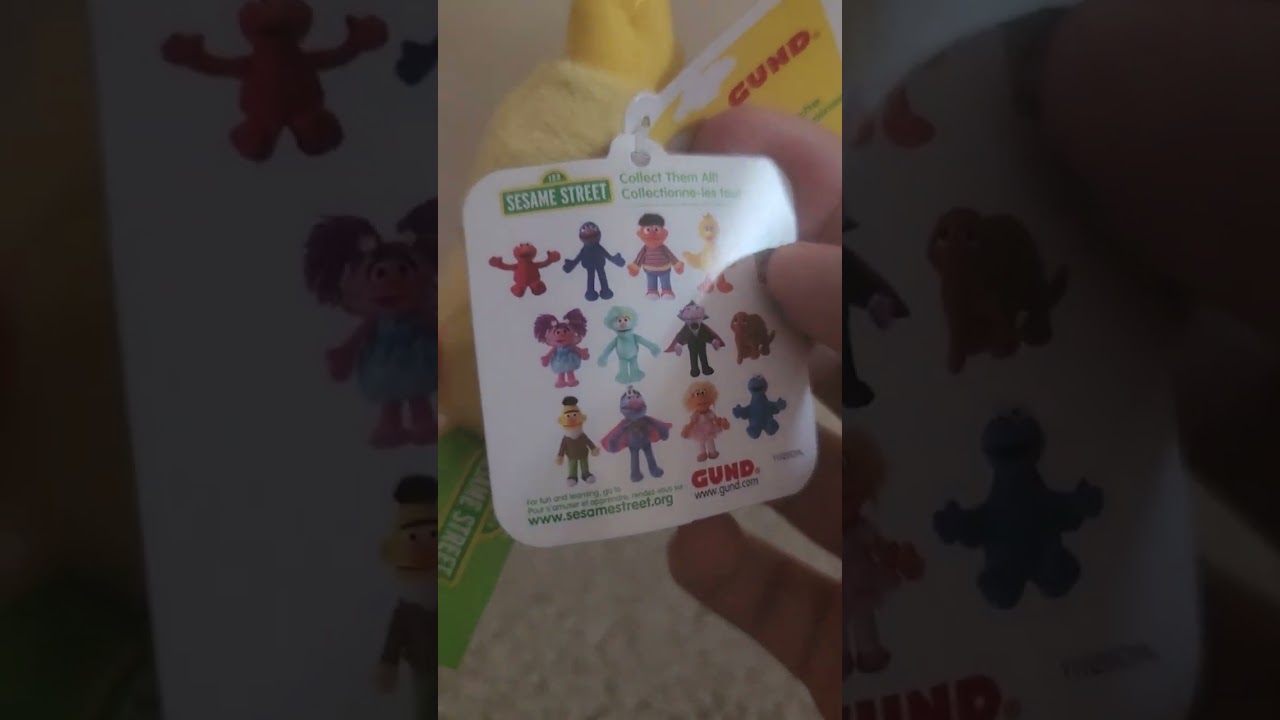 my new big bird stuff animal