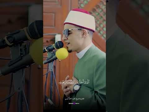 تلاوة روحانية من سورة فاطر أداء القارئ محمد أحمد حسن تلاوة خاشعة القارئ محمد احمد حسن طالب الازهر