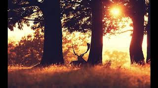 Download Lagu LUI MAFUTA - Em.Ka MP3