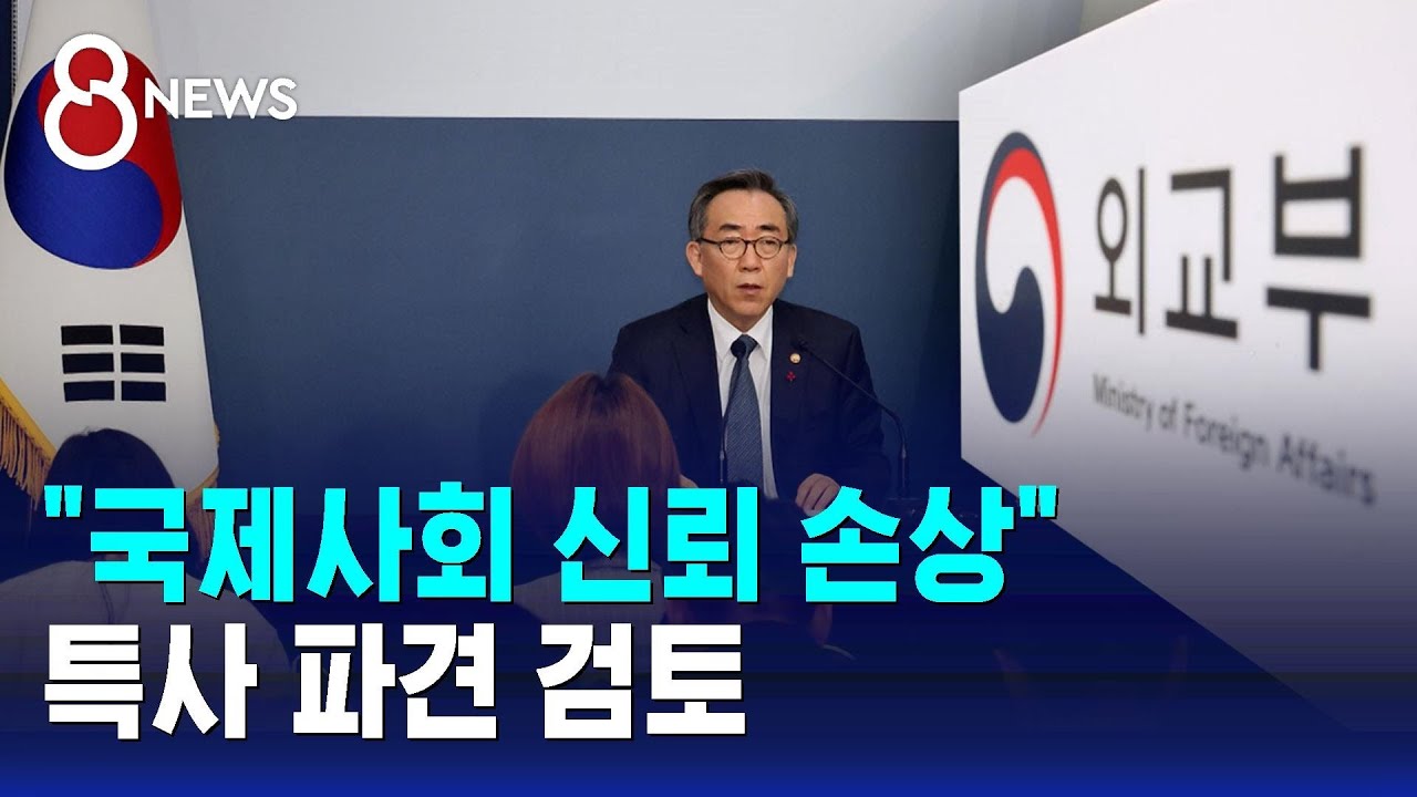 "국제사회 신뢰 손상"…특사 파견 검토 / SBS 특집 8뉴스