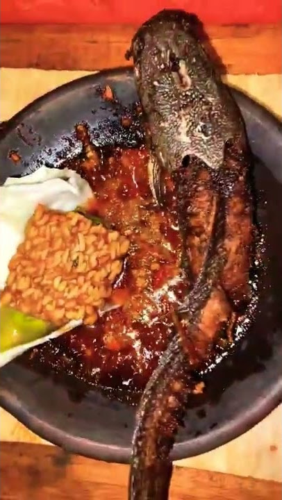 PINGIN GA SIH !! IKAN LELE GORENG SAMBEL TRASI NGEBUL SERATUS RIBU MAKYUSS😋😱