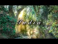 An Indian Jungle Experience | Cinematic Travel Film (Hear The Jungle)