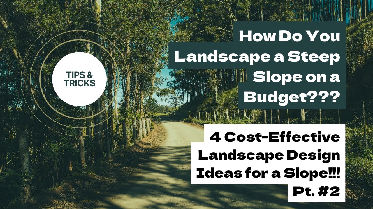 How Do You Landscape a Steep Slope on a Budget??? - 4 Landscape Design ...