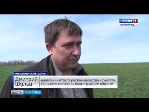 Аграрии Новоаннинского района готовы к севу яровых